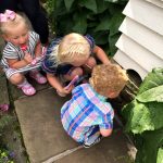 The Kids Enjoying Trawdens Garden Festival And Scarecrow Trail